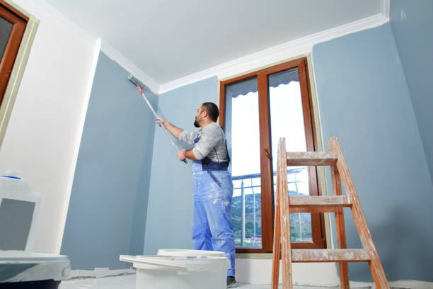 Best Environmental Consulting for Mold Prevention  in Stockton University, NJ