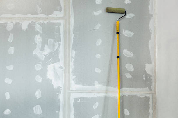 Best Post-Construction Mold Inspection  in Stockton University, NJ