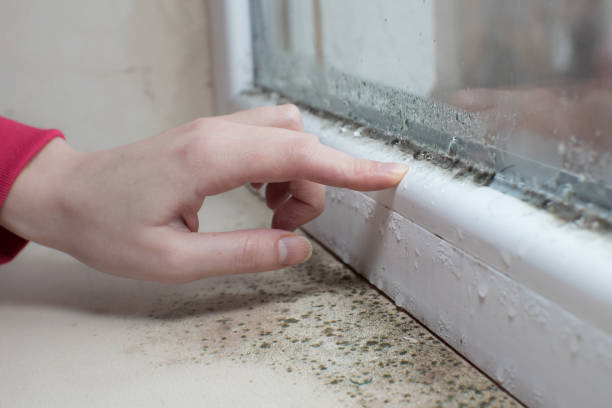 Best Forensic Mold Investigation  in Stockton University, NJ