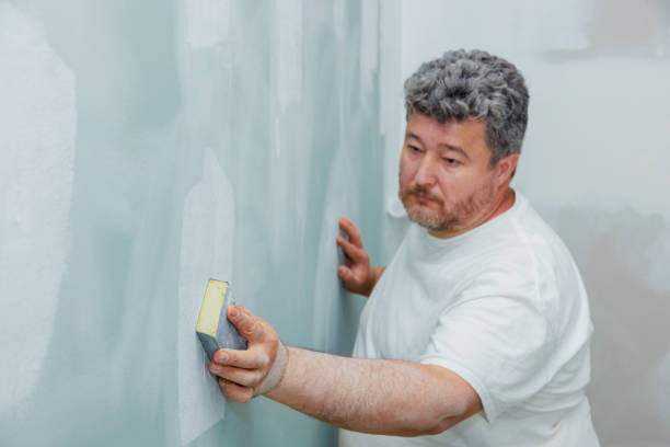 Best Basement Mold Removal  in Stockton University, NJ