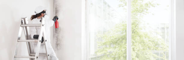 Best Mold Remediation for Healthcare Facilities  in Stockton University, NJ