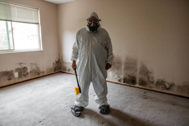 Best Mold Remediation for Vacation Homes  in Stockton University, NJ