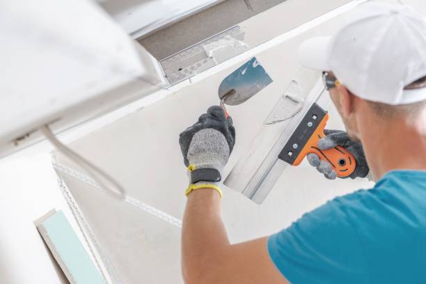 Mold Remediation for Vacation Homes in Stockton University, NJ